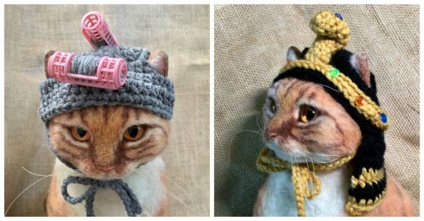 15 забавных шапочек для кошек на все случаи из жизни